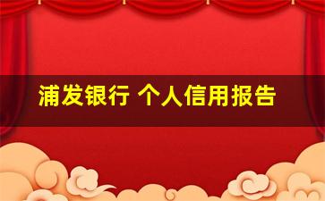 浦发银行 个人信用报告